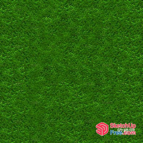 Natural Texture Ground Grass Lawn Grass - SketchUp Free