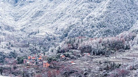 重庆摩围山迎来今年首场降雪 美如童话世界-高清图集-中国天气网