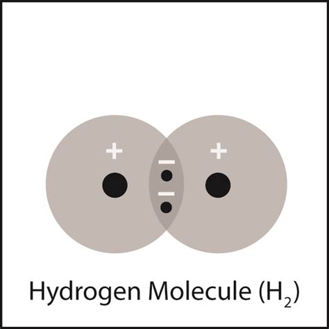 Image result for Covalent Compounds Examples