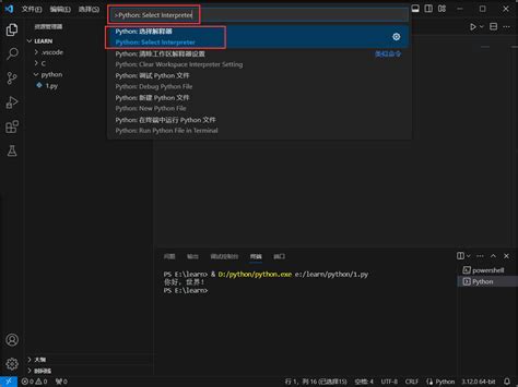 Visual Studio Code Python Code Runner Configuration 的图像结果