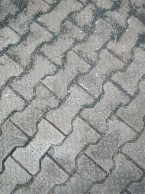 地面 的图像结果