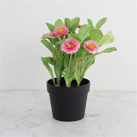 Buy Gardenia Aster Artificial Flowers in Pot from Home Centre at just ...
