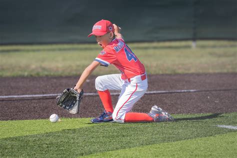 Tecolote Youth Baseball