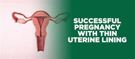 Successful Pregnancy with Thin Uterine Lining