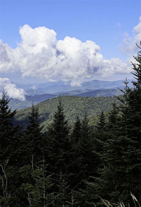 Asheville Ecological Services Field Office | U.S. Fish & Wildlife Service