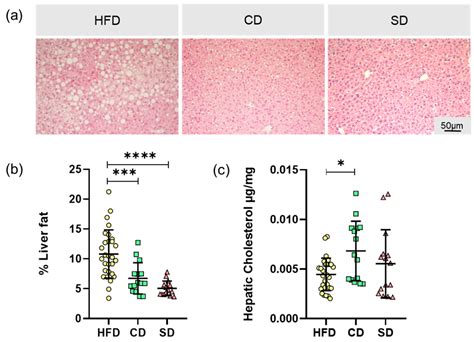 Dietary-Induced Low-Grade Inflammation in the Liver