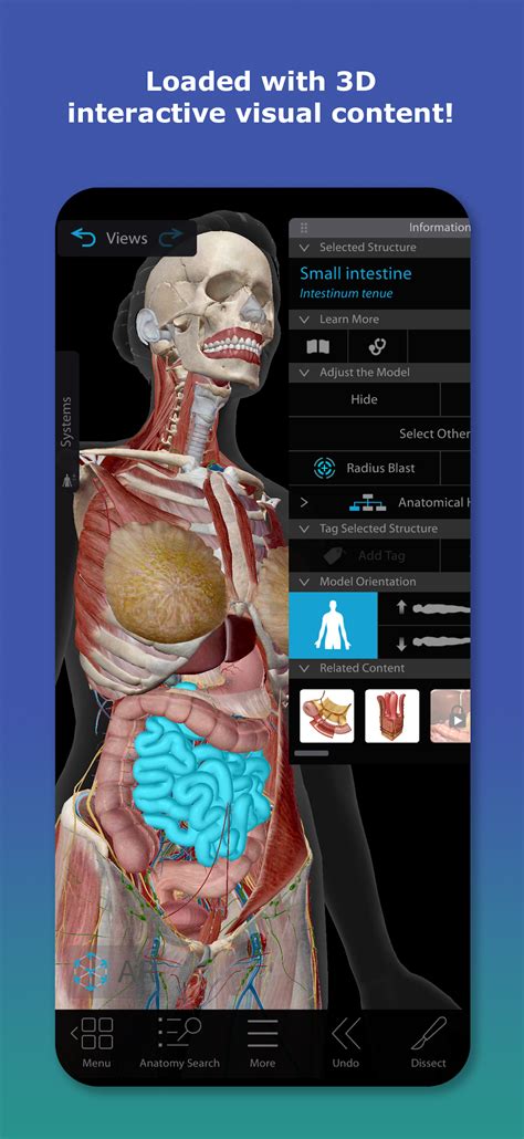تنزيل وتشغيل Human Anatomy Atlas 2026 على جهاز الكمبيوتر مجانًا