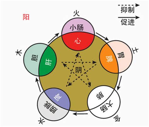 羊宝宝五行八字取名_五行_八字帝