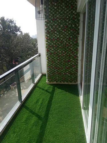 Pink Bougainvillea Plants & Pink Bougainvillea Plants Trees Trader ...