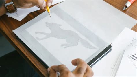 Image Projector 的图像结果