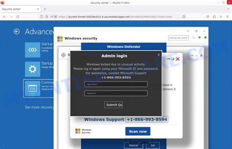 Image result for Windows Locked Scam