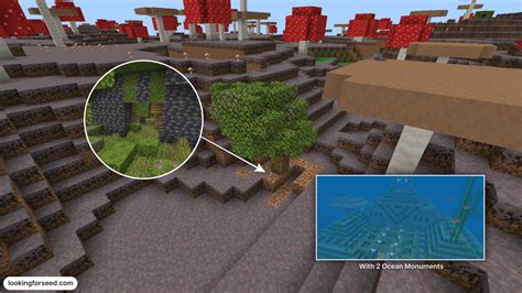 Image result for Ravine Seeds Java