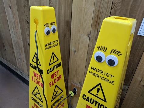 My local Trader Joe's named their wet floor cones and gave them eyes ...