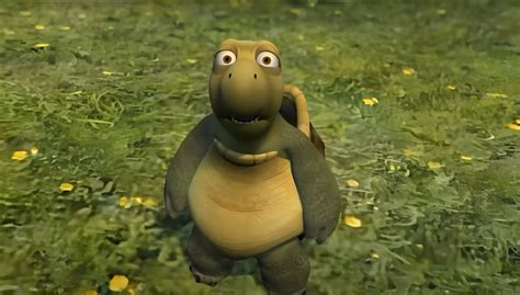 Shoked turtle meme – Artofit