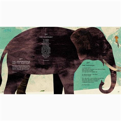 Tiger, Tiger, Burning Bright! (Animal Poems) - Hardback Book