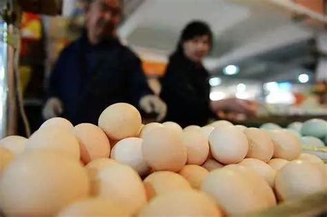 领鸡蛋诱骗35名老人共1.2万最新素材