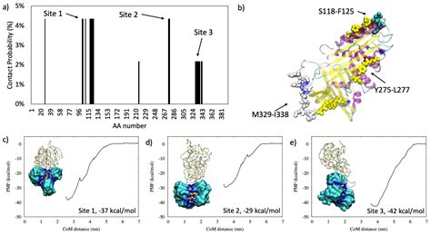 Computational Insight on the Interaction of Common Blood Proteins with ...