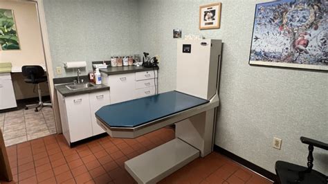 Berkshire Veterinary Hospital Patient Gallery | Vet Clinic In ...