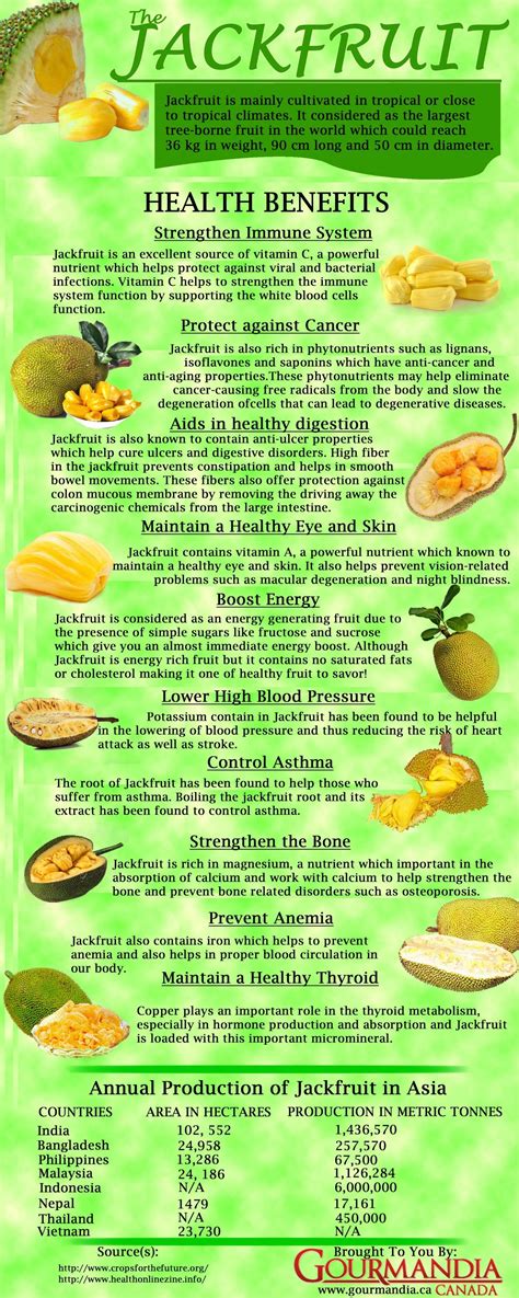 Jackfruit Benefits Jackfruit Health Benefits – Should You Have It?
