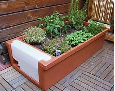 sul terrazzo orto sul terrazzo per coltivare erbe aromatiche e piccoli sul terrazzo orto sul terrazzo per coltivare erbe aromatiche e piccoli
