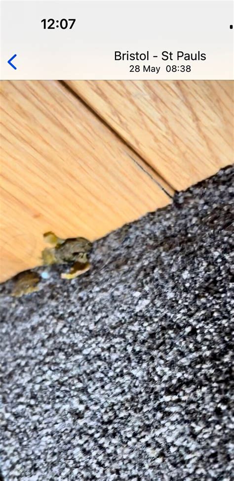 Disgustingly dirty! Actual mouldy food still in the room. - Review of ...