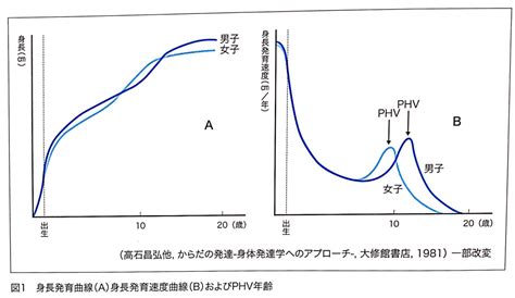 Image result for Sample Probability Experiment Examples