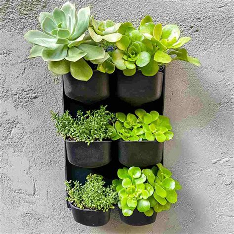 20 Vertical Garden Wall Ideas for Patios You'll Love