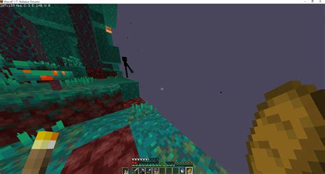 Image result for How to Fix Chunks Not Loading in Minecraft