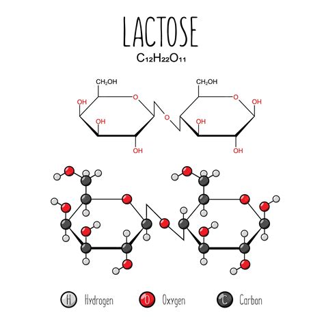 Lactose Formula Structure at Lois Lumpkin blog