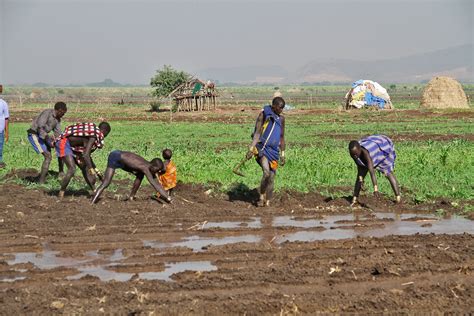 Panticora Local People 的图像结果