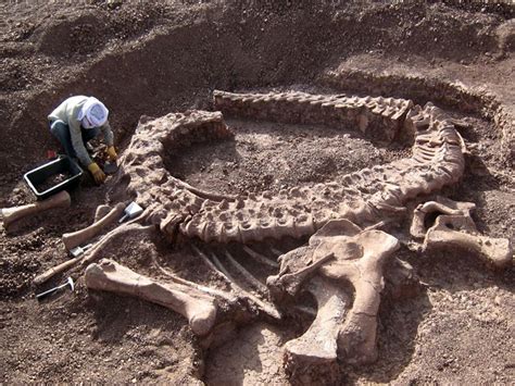 Topo 的图像结果