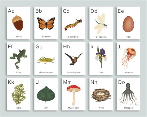Nature ABC Cards Printable | Homeschool Printables Preschool Nursery ...
