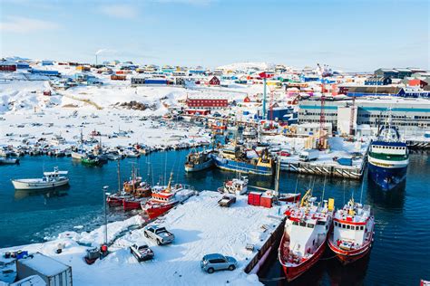 Smart Facts About Greenland and Its Fossils