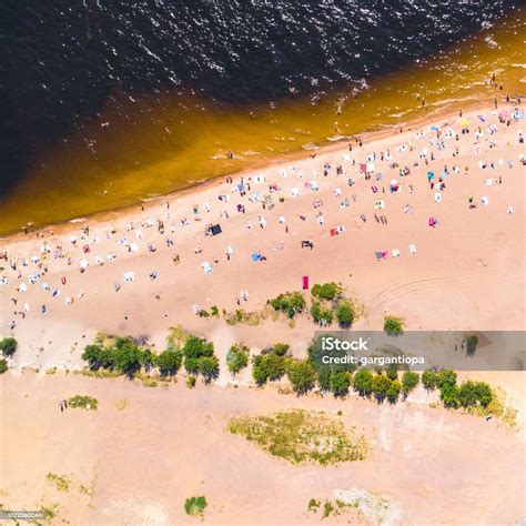 Swim in the Sun 的图像结果