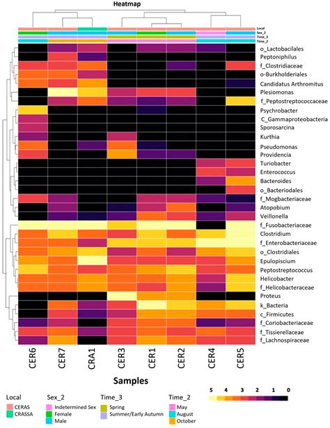 Exploring the Gastrointestinal Microbiome of Eurasian Griffon Vultures ...