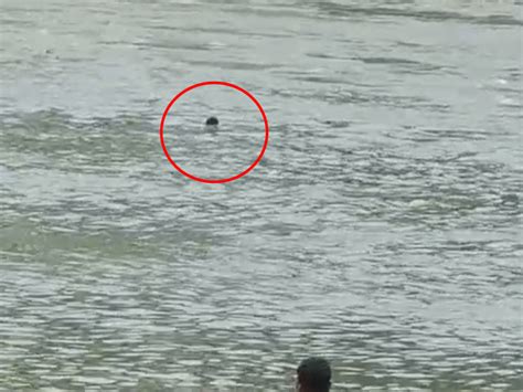 Youth drowns in Narmada River went to Omkareshwar with friends pleaded ...