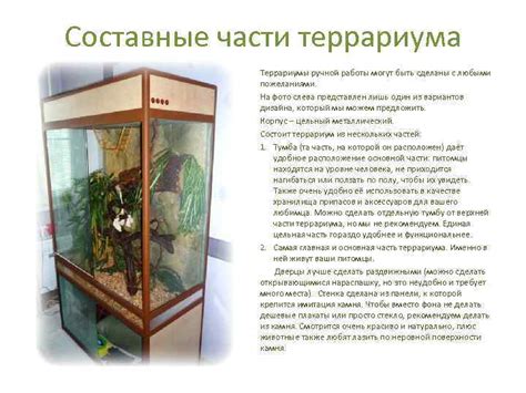 Террариумы Террариум имитация живой природы для животных