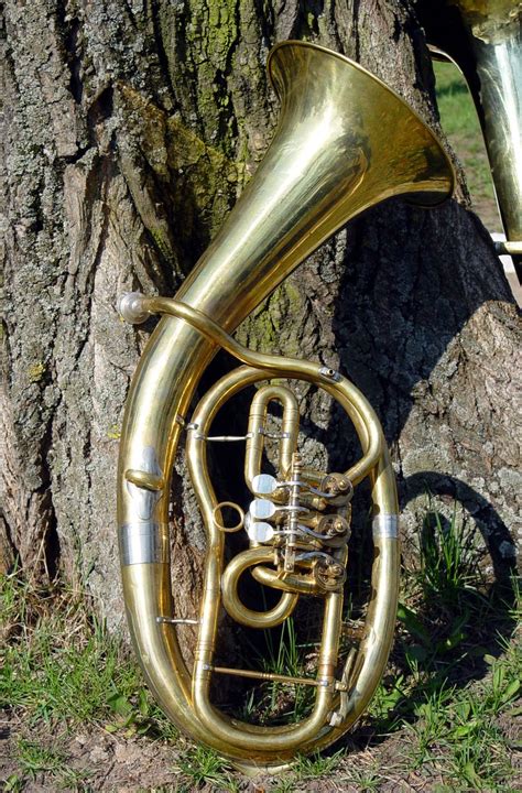 Image result for A Wind Instrument