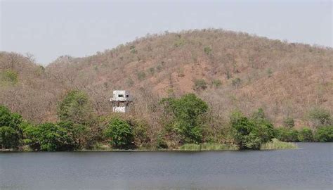 Jambughoda Wildlife Sanctuary Gujarat Complete Guide For 2026