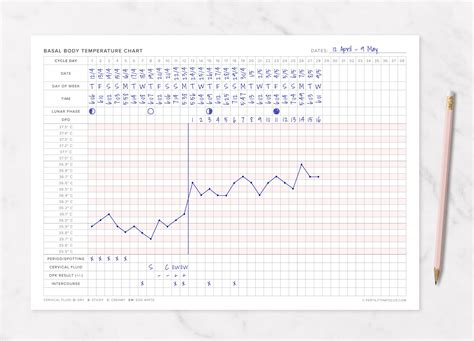 Basal body temperature chart patterns – Artofit