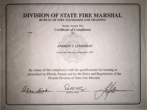 Professional Qualifications - Professional nursing portfolio Andrew ...