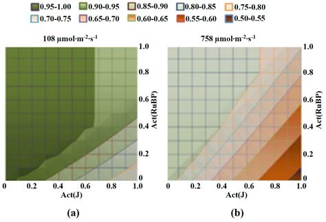Development of Modified Farquhar–von Caemmerer–Berry Model Describing ...