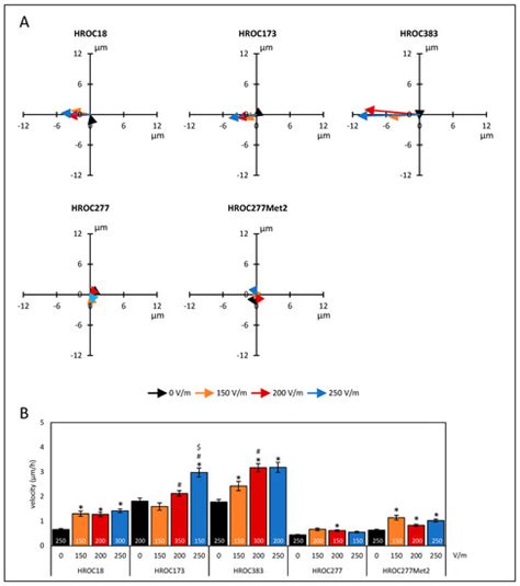 Direct-Current Electrical Field Stimulation of Patient-Derived ...