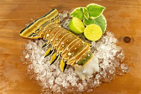 Florida Lobster For Sale - Tails & Whole Lobster Shipped Fast Overnight