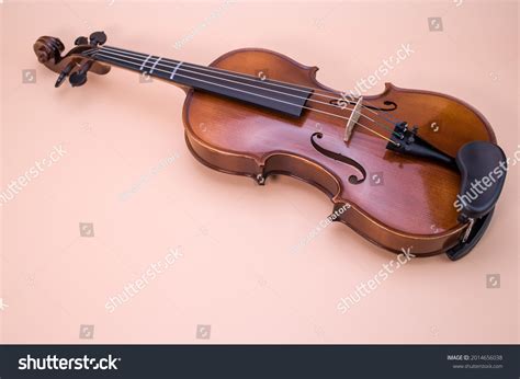 Violin 的图像结果