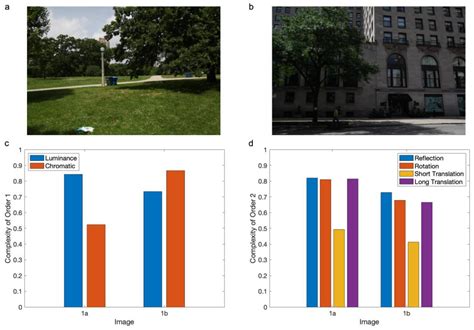Perceptual Complexity as Normalized Shannon Entropy