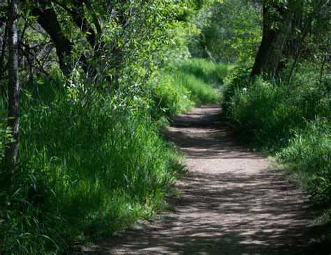 Lair o' the Bear Park — The Colorado Mountain Club