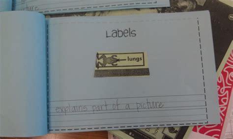 Table Text Feature 的图像结果