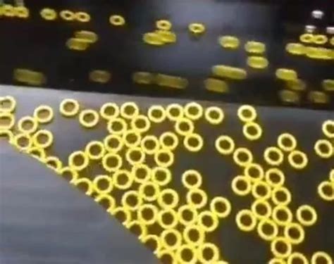 Machine Vision Image Extractor 的图像结果