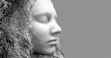 3D Scanner Portrait 的图像结果
